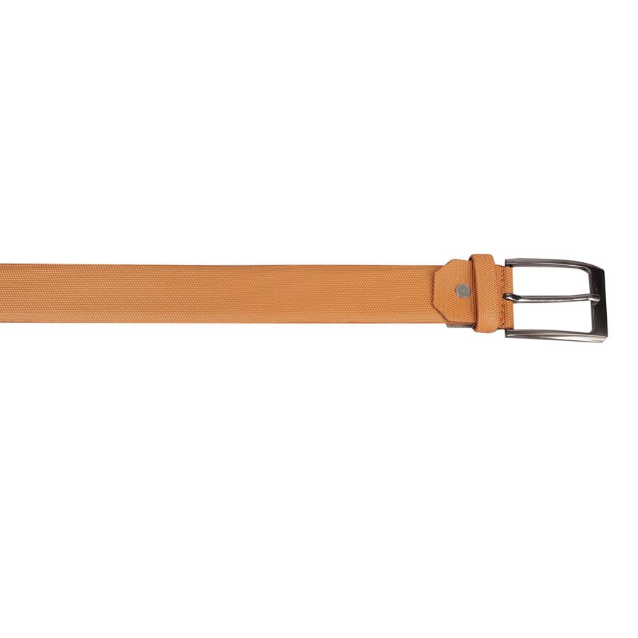 Men's Tan Polyurethane Casual Belt, , large image number null