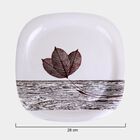 Melamine Full Plate, , small