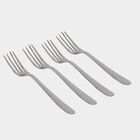 Stainless Steel Fork Set of 4, , small image number null