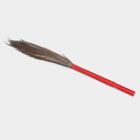 Grass Broom, Dry, , small image number null