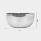 Steel Bowl, , small image number null