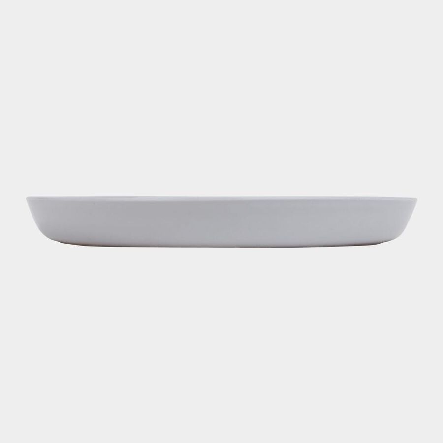 Plastic Plate, , large image number null