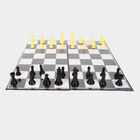 Magnetic chess board, , small image number null