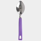 Steel Spoon, , small image number null