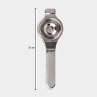 Steel Lemon Squeezer, , small image number null