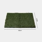 Polypropylene Door Mat, , small image number null