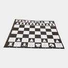 Chess Set, , small image number null