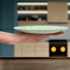 19.5 cm dia Melamine Half Plate, , small image number null