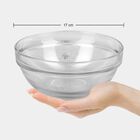 Glass Bowl, , small image number null