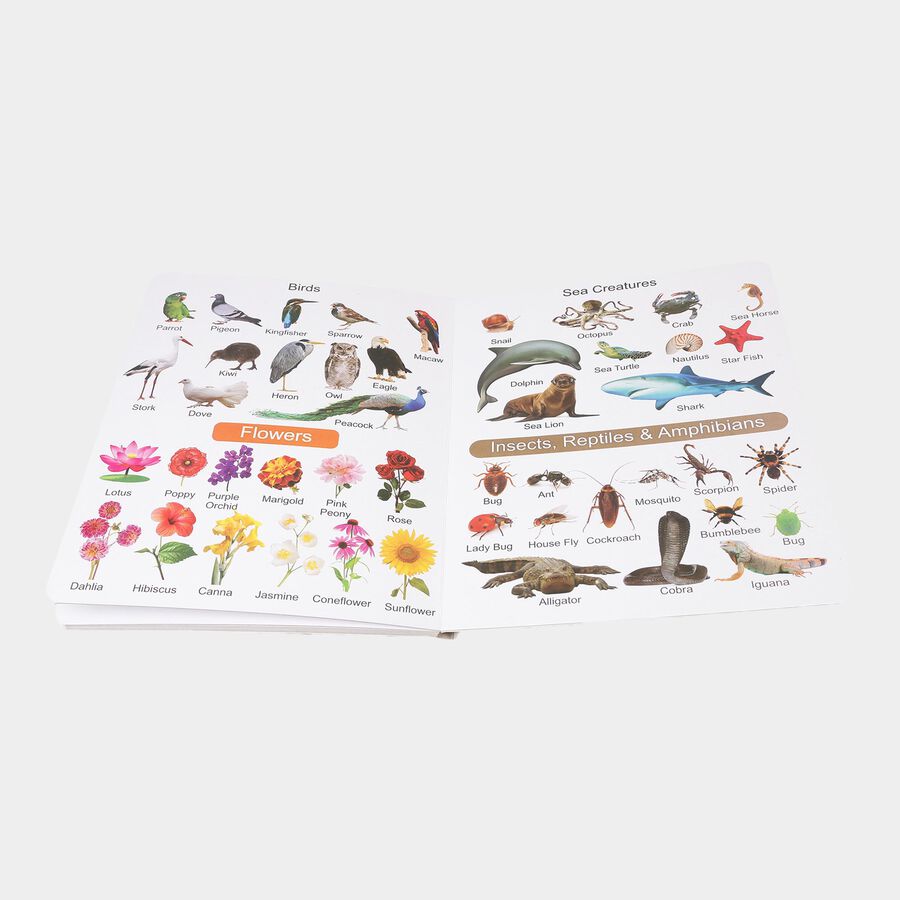 Kid's Learning Book (Design/Color May Vary), , large image number null