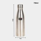 750 ml Steel Insulated Bottle, , small image number null