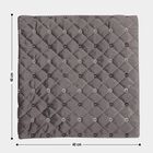 Dark Grey Velvet Cushion Cover, , small image number null