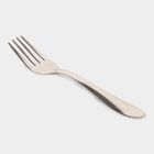 Stainless Steel Fork Set of 4, , small image number null
