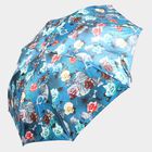 Ladies Umbrella, , small image number null