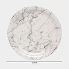 Melamine Full Plate, , small image number null