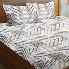 Blue Polyester Double Bedsheet, , small image number null