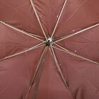 Mens Umbrella, , small image number null