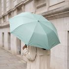 Brink Light Green Polyster Umbrella, , small