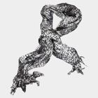 Women's Black Polyester Scarf, , small