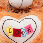 Pink Soft Teddy, , small image number null