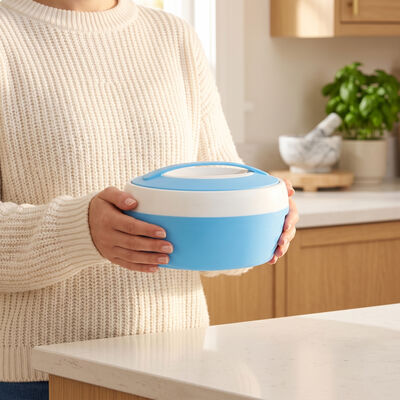 800ml Plastic And Stainless Steel Casserole