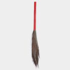 Grass Broom, Dry, , small image number null