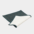 Anti-Skid Blue Polypropylene Door Mat, , small image number null