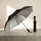 Woman's Black Polyester Umbrella, , small