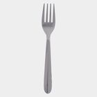 Stainless Steel Fork Set of 4, , small image number null