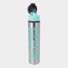 500 ml Steel Bottle, , small image number null