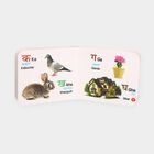 My First Tiny Board Book Hindi Varnamala Paper Board Book, , small