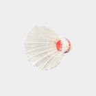 Feather Shuttlecock 5 Pcs Jar Pack, , small image number null