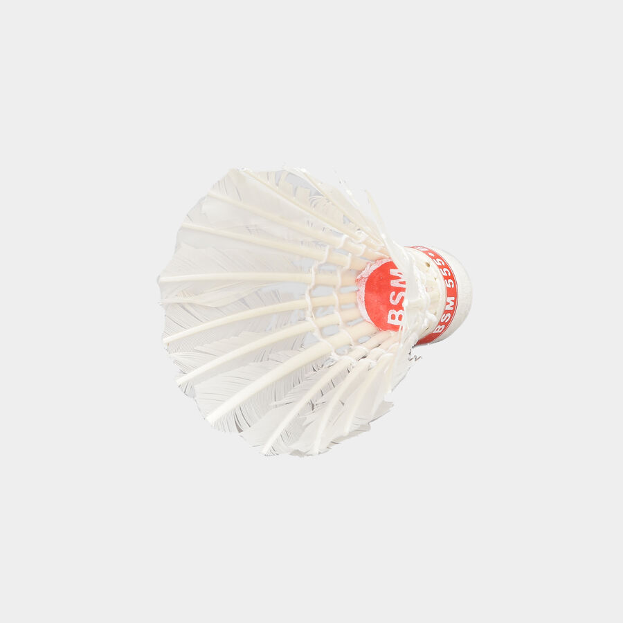 Feather Shuttlecock 5 Pcs Jar Pack, , large image number null