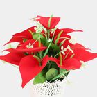 एक 5 फीट का खिड़की का पर्दा, , small image number null