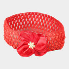 Hairbands - Color/Design May Vary, , small image number null