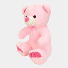 Pink Soft Teddy, , small image number null