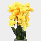 Plastic Artificial Plant, , small image number null