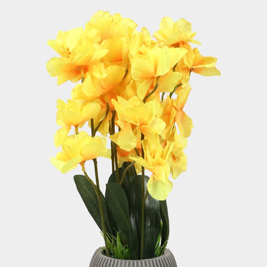 Plastic Artificial Plant, , large image number null