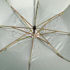 Woman's Light Green Polyester Umbrella, , small