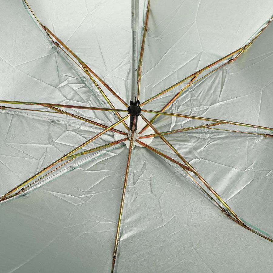 Woman's Light Green Polyester Umbrella, , large