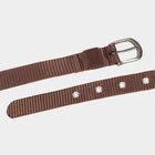 Women's Brown Nylon and Polyester Belt, , small