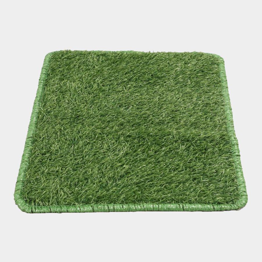 Anti-SKId Green Polypropylene Door Mat, , large image number null