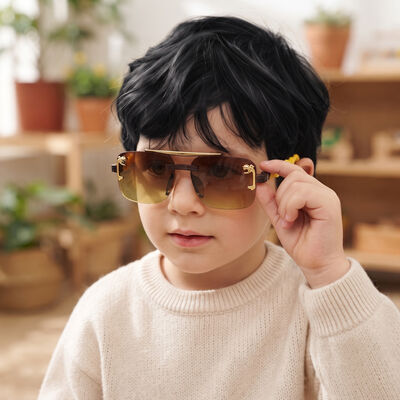 Kid's Brown Plastic Sunglasses