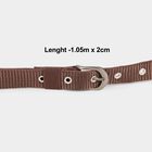 Women's Brown Nylon and Polyester Belt, , small