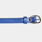 Women's Blue Polyurethane Belt, , small image number null