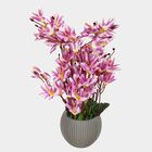 Plastic Artificial Plant, , small image number null
