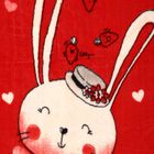 Kid's Red Microfiber Blanket, , small image number null