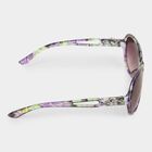 Women's Plastic Gradient Round Sunglasses, , small image number null