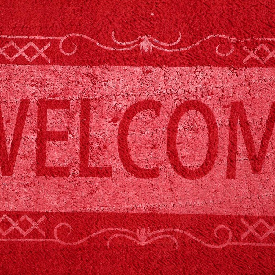 Multicolor Polyester Door Mat, , large