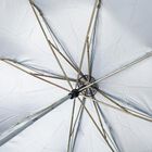 Women's Blue Polyester Umbrella, , small